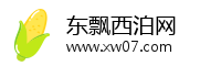 东飘西泊网